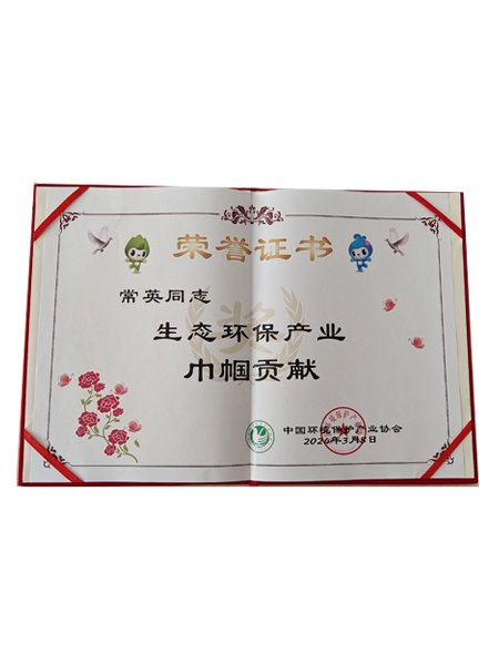 中國環境保護產業協會巾幗貢獻獎