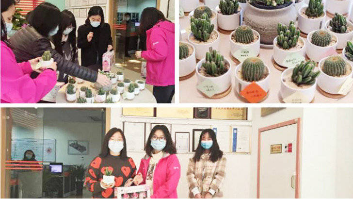 三八婦女節(jié)，向閃閃發(fā)光的環(huán)保女神們致敬